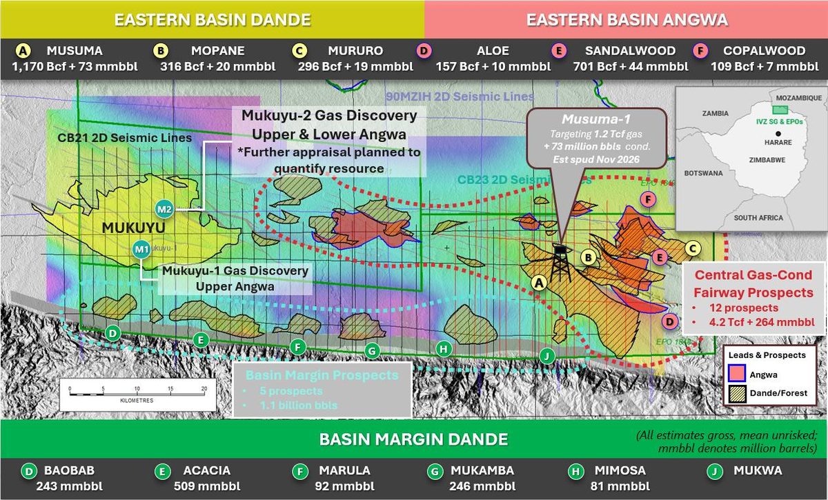 Figure from Invictus Energy Ltd's announcement
